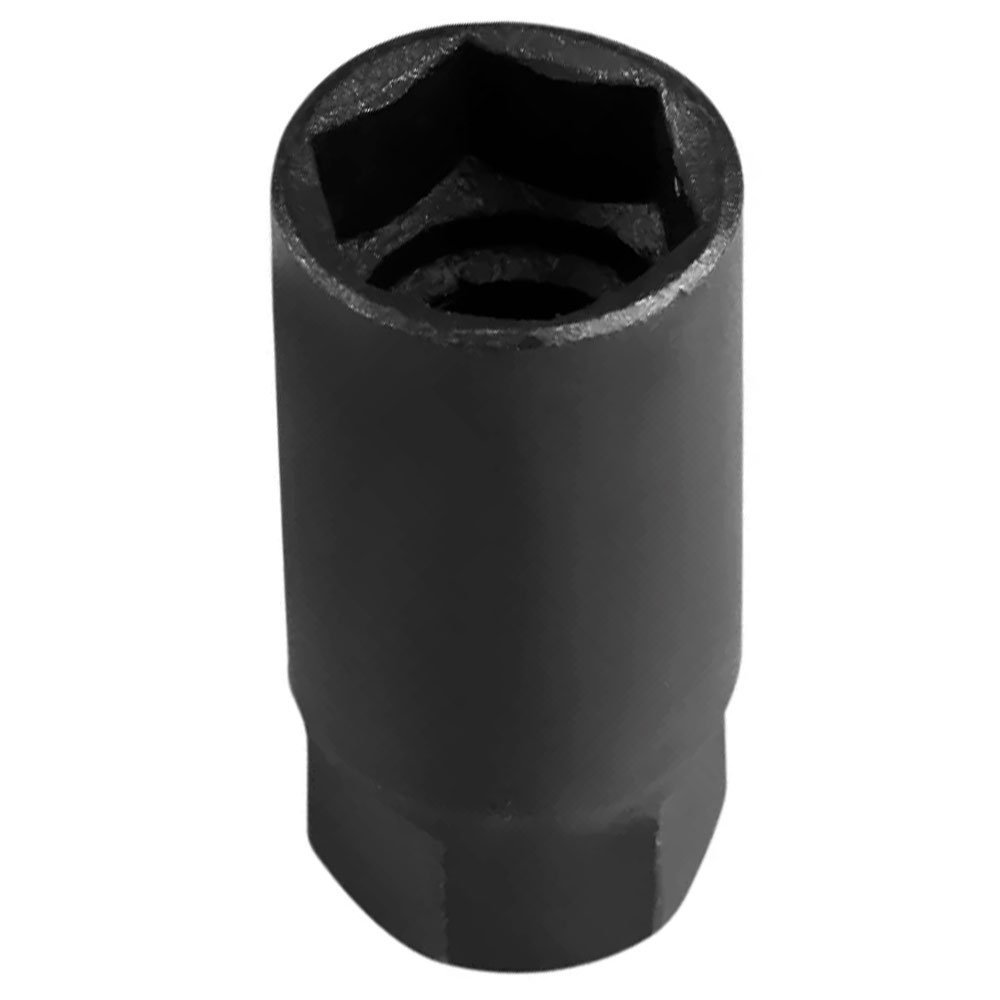 lojão do especialista