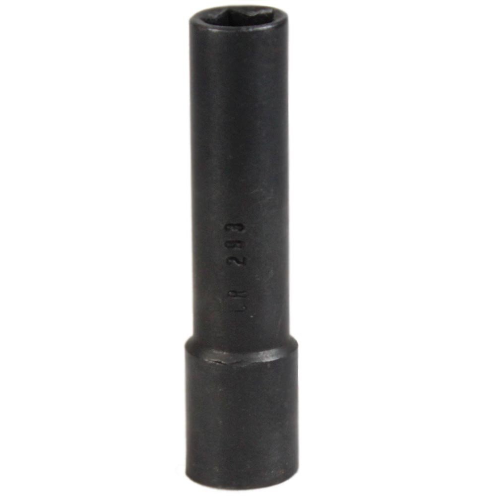 lojão do especialista