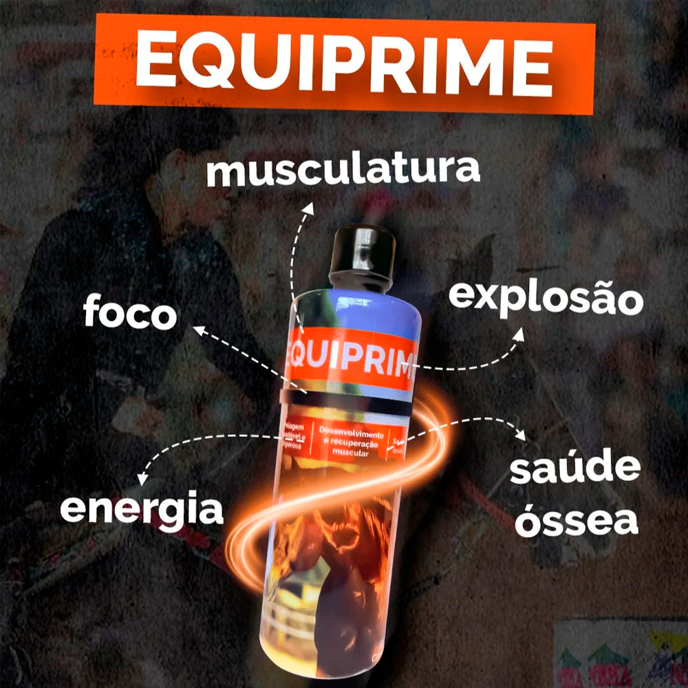 lojão do especialista