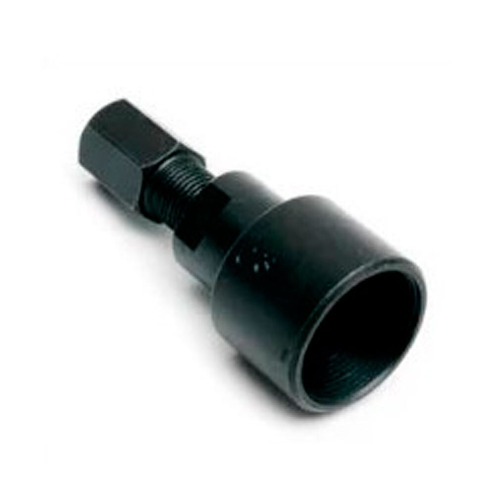 lojão do especialista