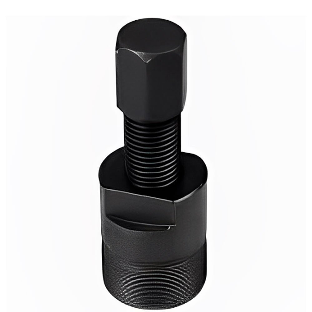 lojão do especialista