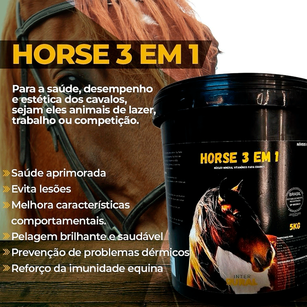 lojão do especialista