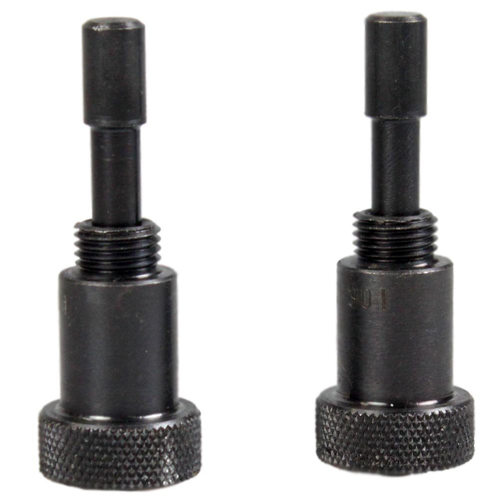 lojão do especialista