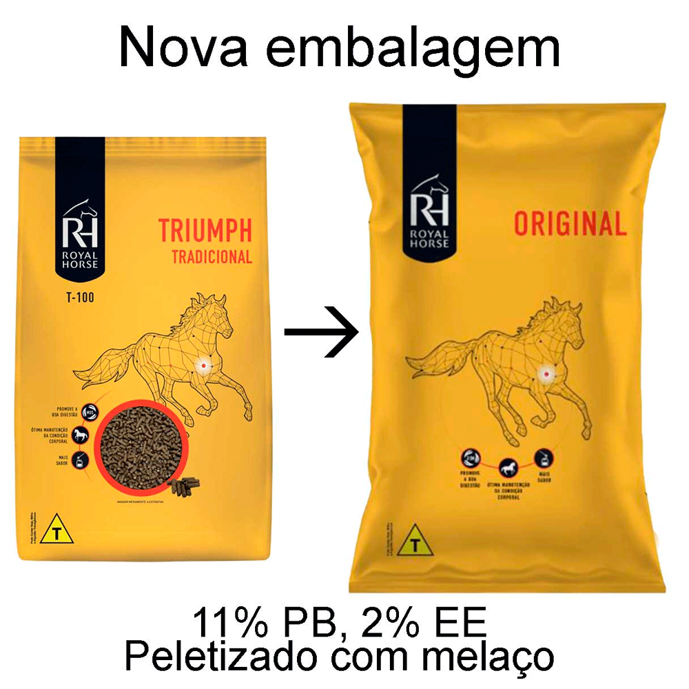 lojão do especialista