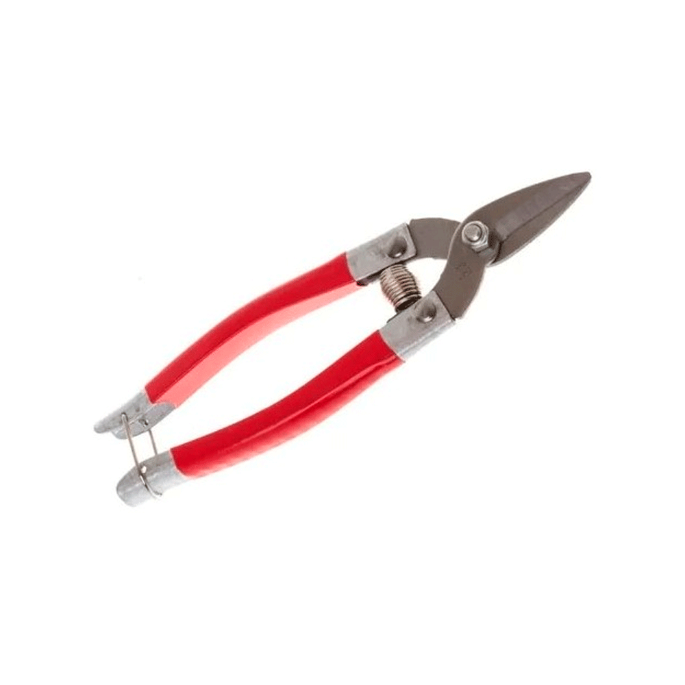 lojão do especialista