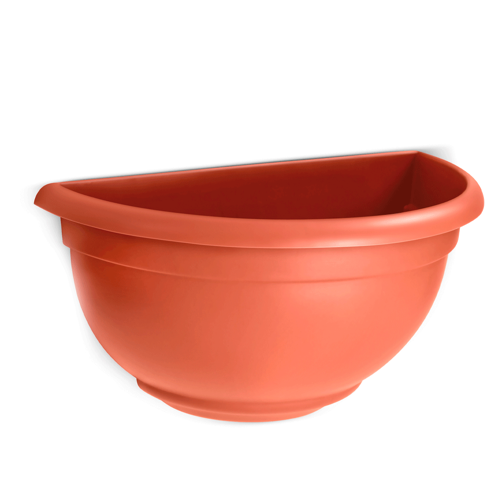 lojão do especialista