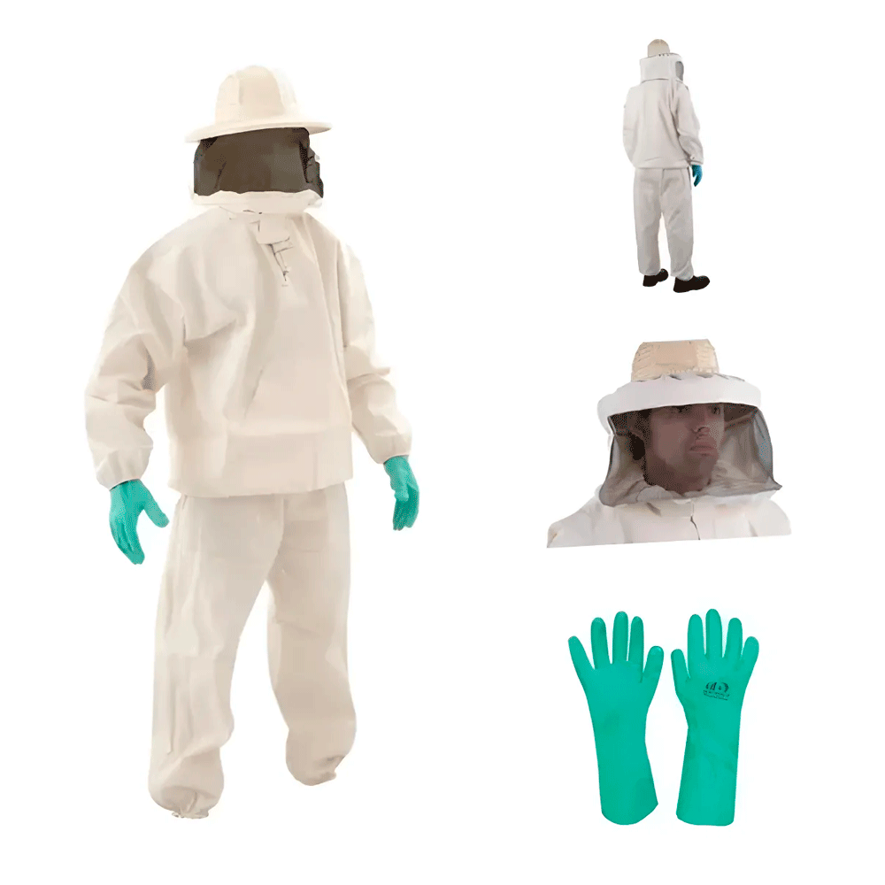 lojão do especialista