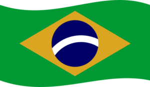 lojão do especialista