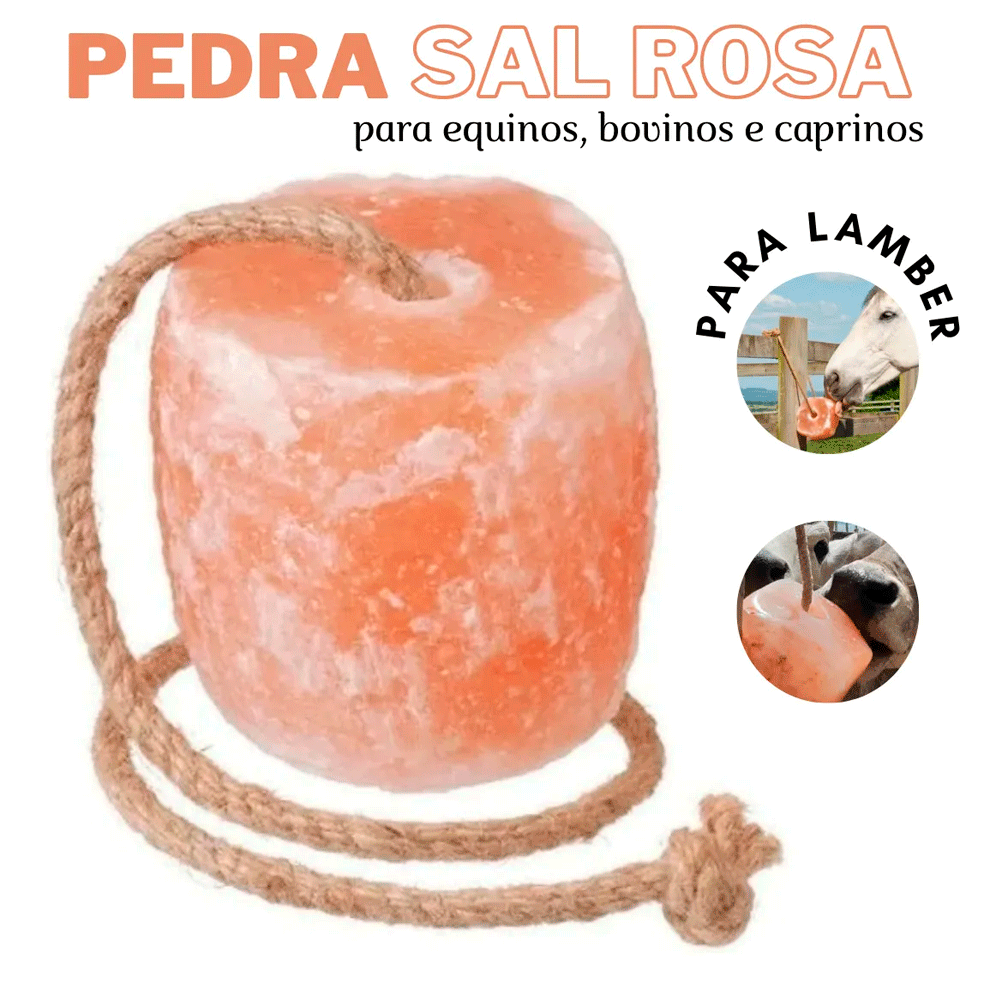 lojão do especialista