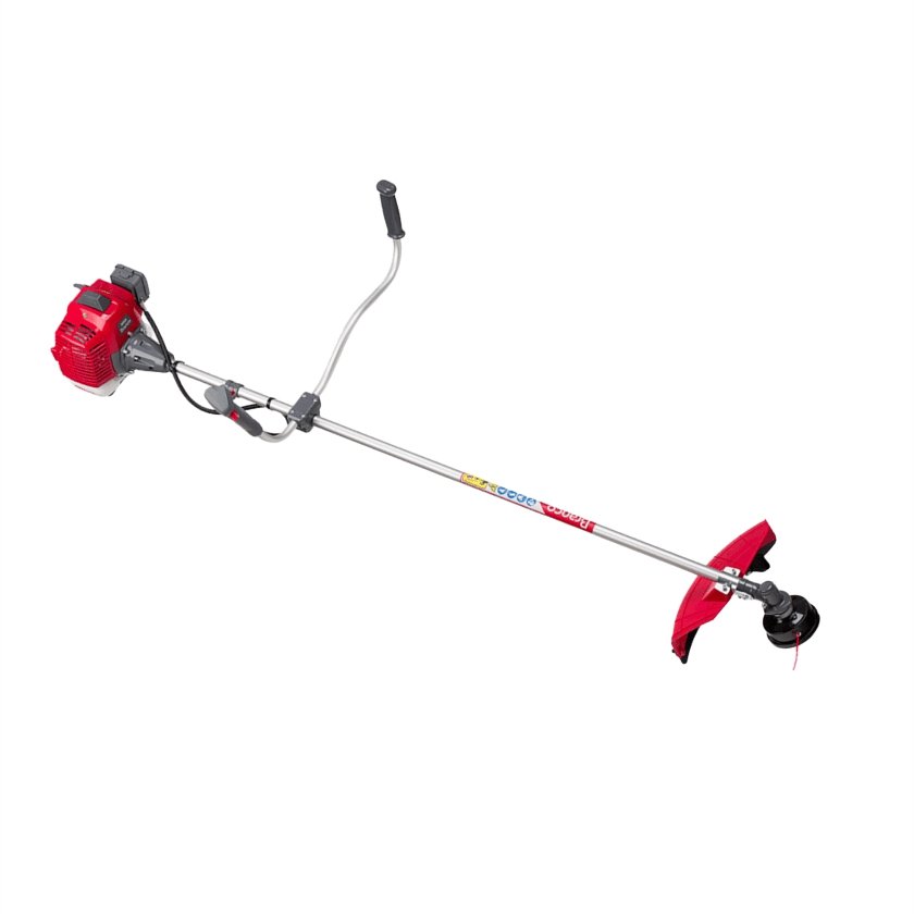 lojão do especialista