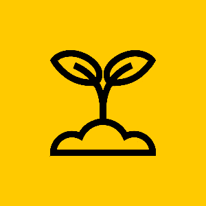 lojão do especialista